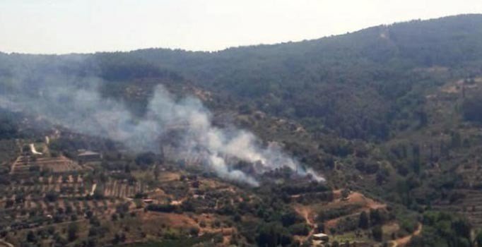 İzmir'de orman yangını