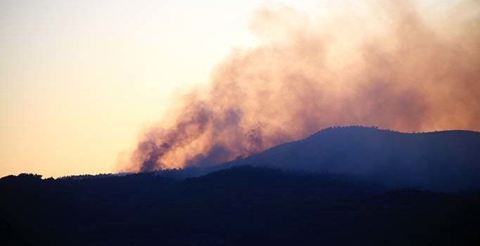 Muğla'daki orman yangınları kısmen kontrol altına alındı