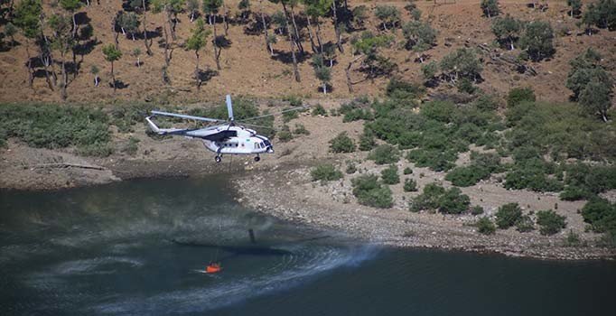 Milas'ta 30 hektarlık alan kül oldu