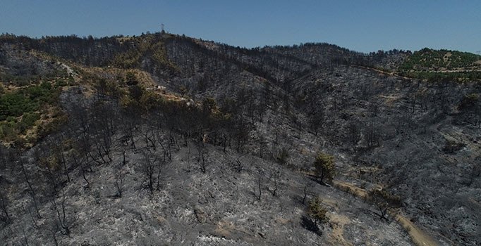 İzmir'deki orman yangını 2 gün 5 saat sonra kontrol altına alındı