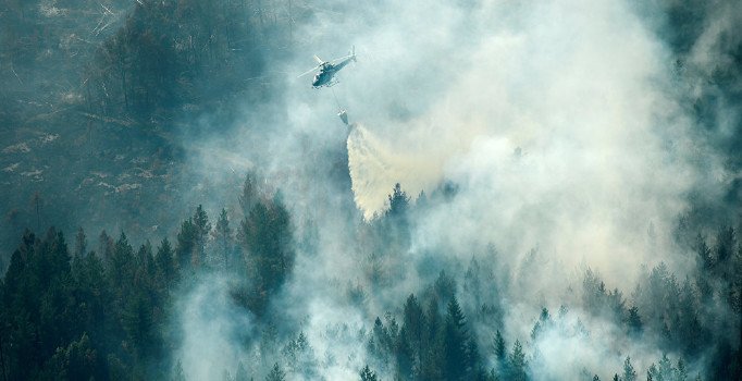 AB, Amazon'daki yangınlardan endişeli