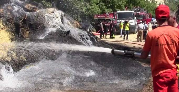 Kütahya'da iki ayrı orman yangını