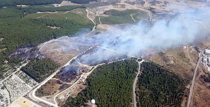İzmir Gaziemir'de orman yangını