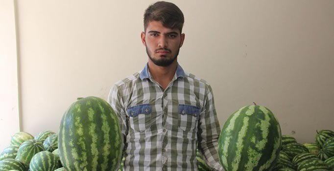 Aldığı karpuz kabak çıkınca karpuzcuyu bıçakladı