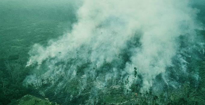 Bolivya'da yangınlar 950 bin hektar alanı kül etti