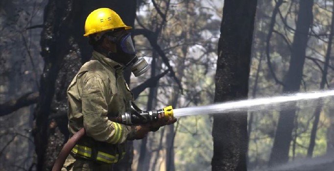 Orman Genel Müdürlüğü'ne 4 bin 996 sözleşmeli personel alınacak