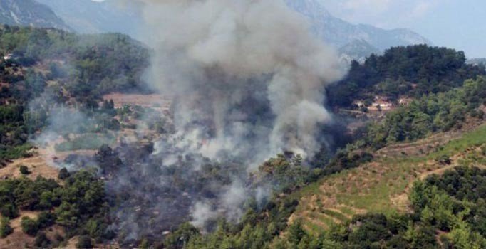 Yeni İzmir Orman Bölge Müdürü Zafer Derince'den açıklama