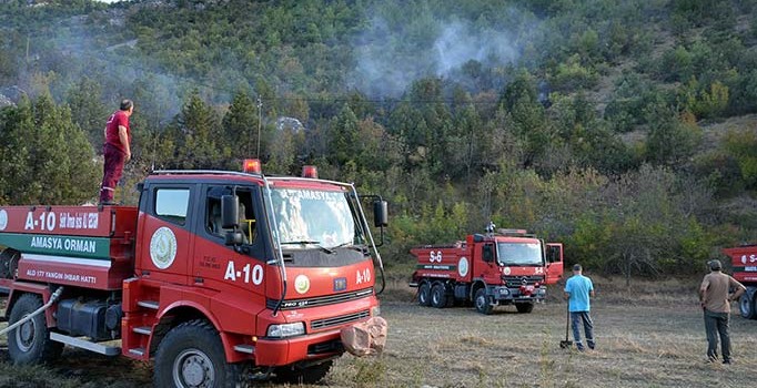 Sigara izmariti 5 dönümlük ormanlık alanı kül etti