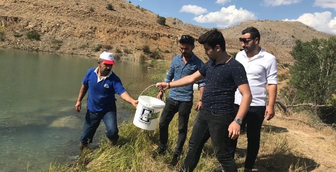 Erzincan’da balıklandırma çalışmaları sürüyor