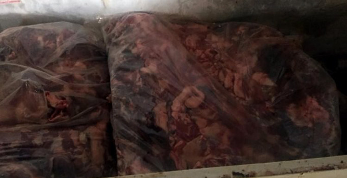 Aydın'da 5 ton kaçak domuz etiyle yakalanan satıcı: Benden domuz eti alanları açıklayacağım