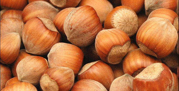 Türkiye fındıktan
az sattı,çok kazandı