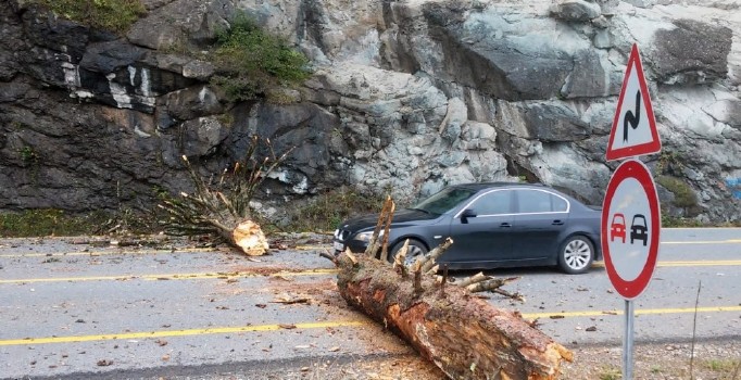 Zigana Dağı’nda yola düşen ağaç Gümüşhane-Trabzon karayolunu ulaşıma kapattı
