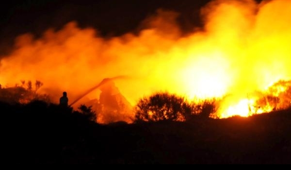 Bodrum'da makilik alandaki yangın korkuttu