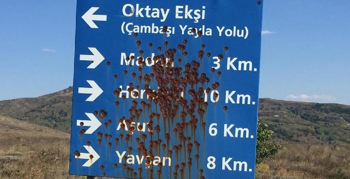 Ordu’da tabelalara ‘maganda’ kurşunu