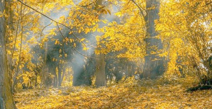 Pastırma sıcakları ne zaman başlar ve ne zaman biter?