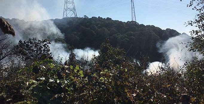 Beykoz Anadolu Kavağı'nda orman yangını