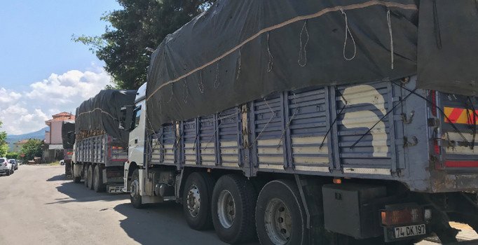 Bartın'da "usulsüz ağaç kesimi"ne tutuklama