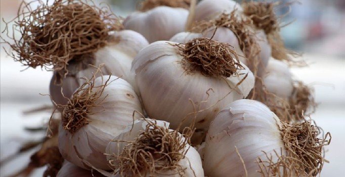 Eylül ayı zam şampiyonu sarımsak oldu