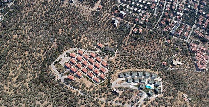 Kaz Dağları’nda villa yapımı için 2.5 milyon zeytin ağacı kesildi