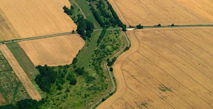 22 kente 'ekolojik koridor' geliyor | Millet bahçeleri ile de birleşecek