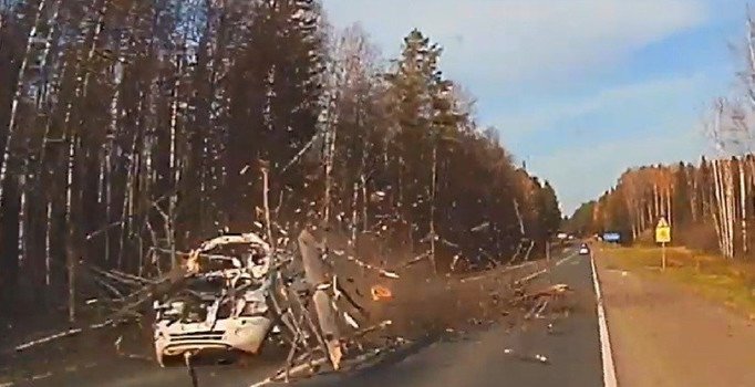 Rusya'da devrilen ağaç otomobili parçaladı