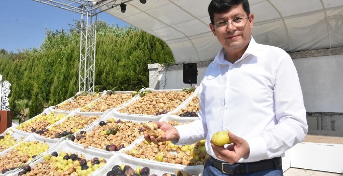 Nazilli’den Barış Pınarı kahramanlarına İncir gönderilecek