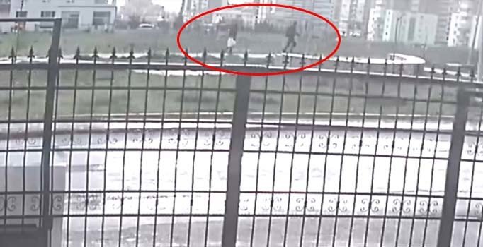 Ankara'daki 16 köpeğin zehirlenme görüntüleri ortaya çıktı