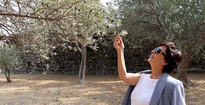 Hülya Koçyiğit'ten Barış Pınarı'na destek: Ayaklarına taş değmesin