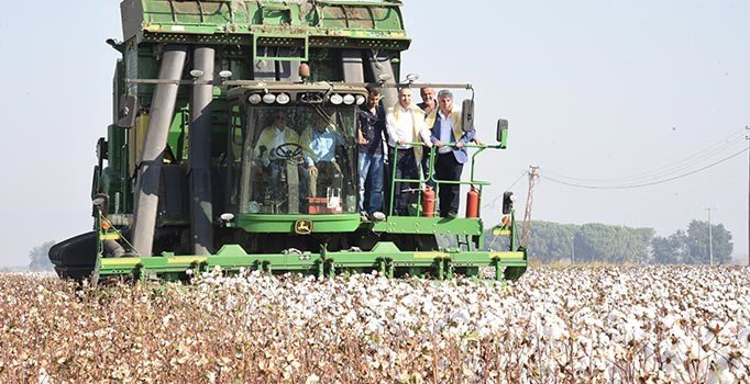 Manisa’da 'Beyaz altın' hasadı başladı