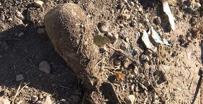 Siirt'te yola tuzaklanan patlayıcı imha edildi