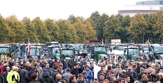 Hollanda'da çiftçilerden, hükümetin tarım politikasına protesto