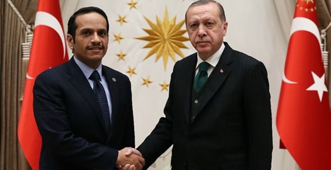 Cumhurbaşkanı Erdoğan,  Dışişleri Bakanı Sani'yi kabul etti