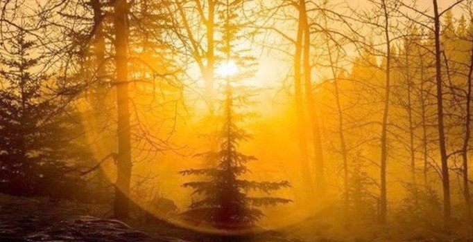 Pastırma yazı nedir? Pastırma sıcakları başlıyor