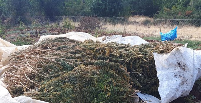 Diyarbakır'da terör örgütü PKK'ya "uyuşturucu" darbesi