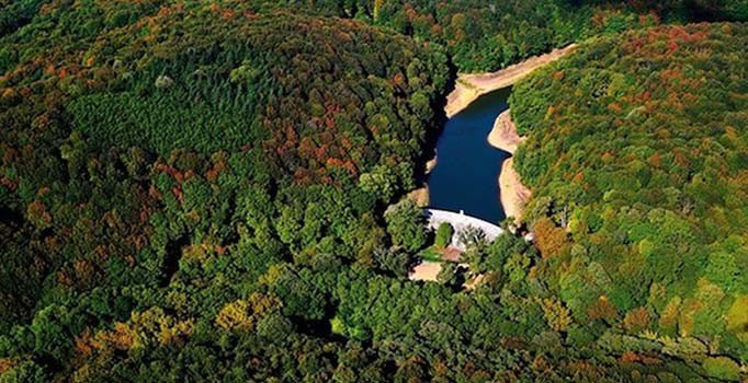 Tarım ve Orman Bakanlığı'ndan İBB'ye 'Kemerburgaz Kent Ormanı' tepkisi