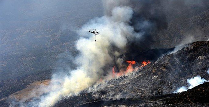 Meksika'da orman yangınlarında 3 kişi can verdi