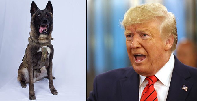 Trump, Bağdadi'nin öldüğü operasyonda yaralanan köpeği paylaştı