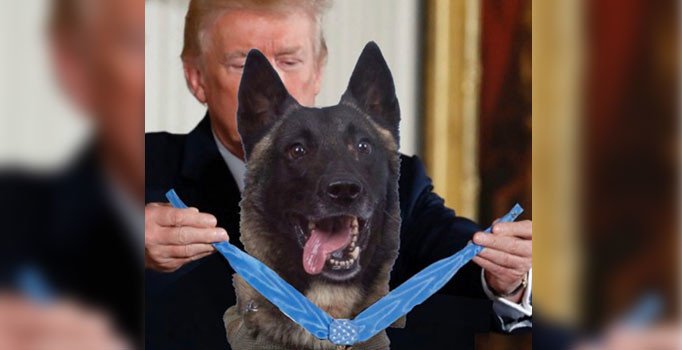 Trump'tan 'ABD’nin kahramanı’ köpeğe madalya