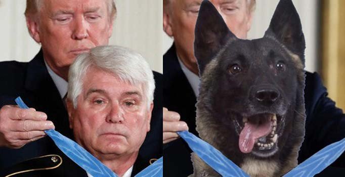 Trump'tan montajlı paylaşım: Yaralanan köpeğe Vietnam madalyası