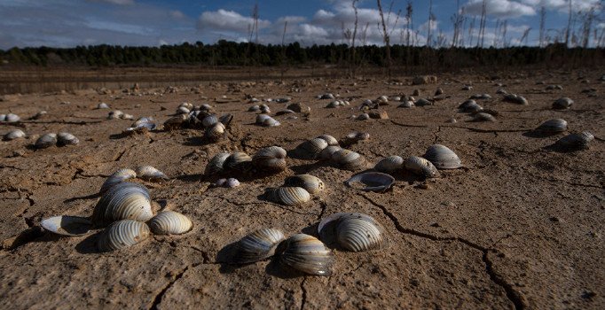 Tarım ve Orman Bakanlığı'ndan 'su' uyarısı: Stresten kıtlığa geçeceğiz