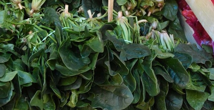 Ispanak zehirlenmesi nedir? Yüzlerce kişi hastaneye başvurdu! Ispanak zehirlenmesi belirtileri