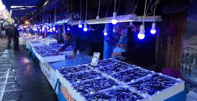 Hamsi tezgahları süslüyor