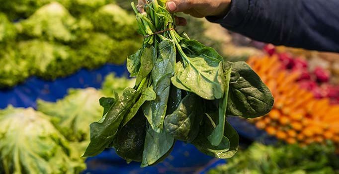 Uzmanlardan ıspanak uyarısı | Ispanak nasıl yıkanmalı, pişirilmeli?