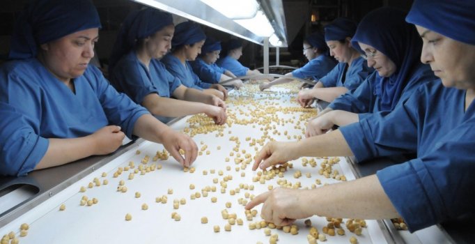 Fındıkta ihracat artıyor