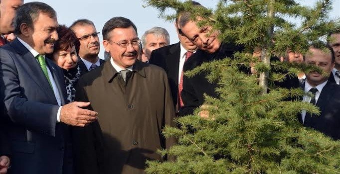 11 Kasım, 'Milli Ağaçlandırma Günü' ilan edildi