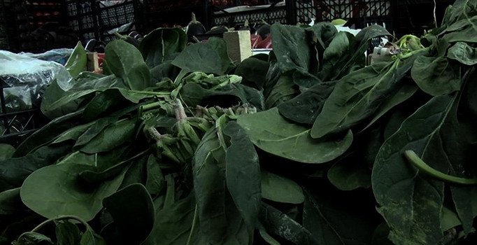 Ispanak zehirlenmesi belirtileri ve yapılması gerekenler neler? Sağlıklı ıspanak tarifi