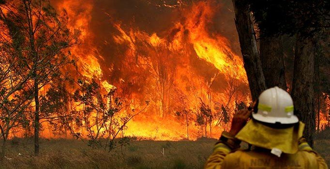 Avustralya'daki orman yangınları ölüm saçtı