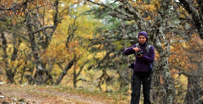 Eğirdir'de kasnak meşesi 'kesin korunacak'