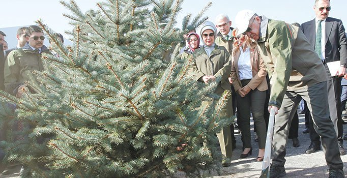 Guinness’lik seferberlik