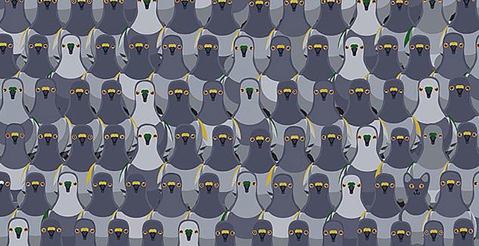 Sınırları zorlayan dikkat testi | 18 saniyede kediyi bulun